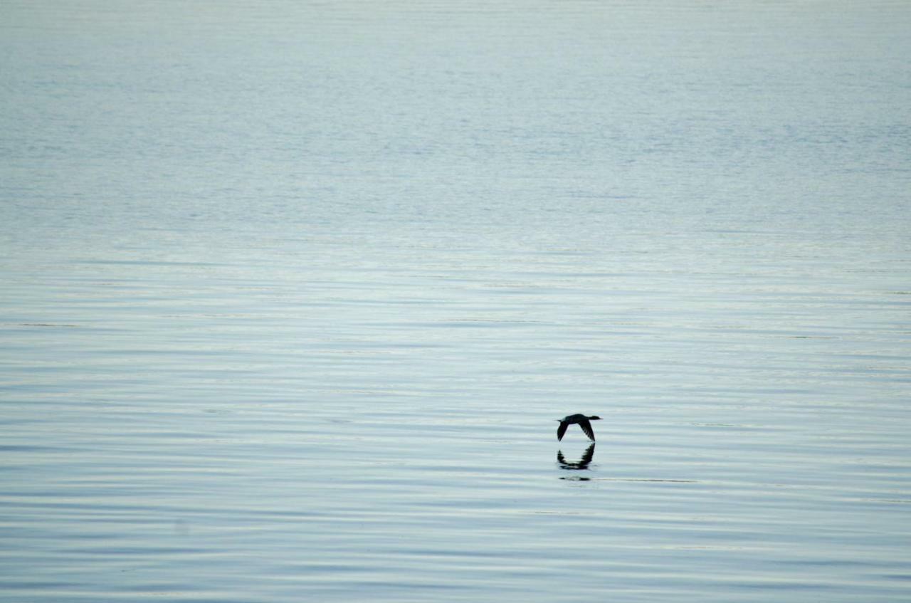 Strandstuga Tämta Zewnętrze zdjęcie